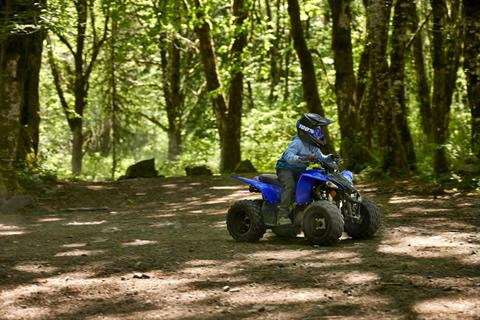 2024 Yamaha YFZ50 in Long Island City, New York - Photo 4