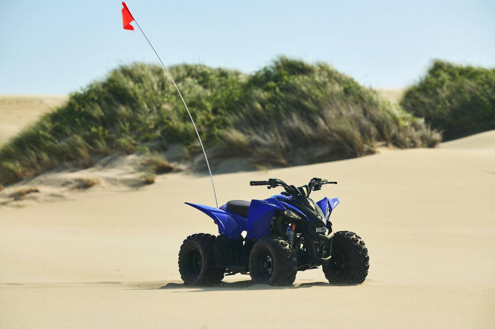 2024 Yamaha YFZ50 in Saint Maries, Idaho