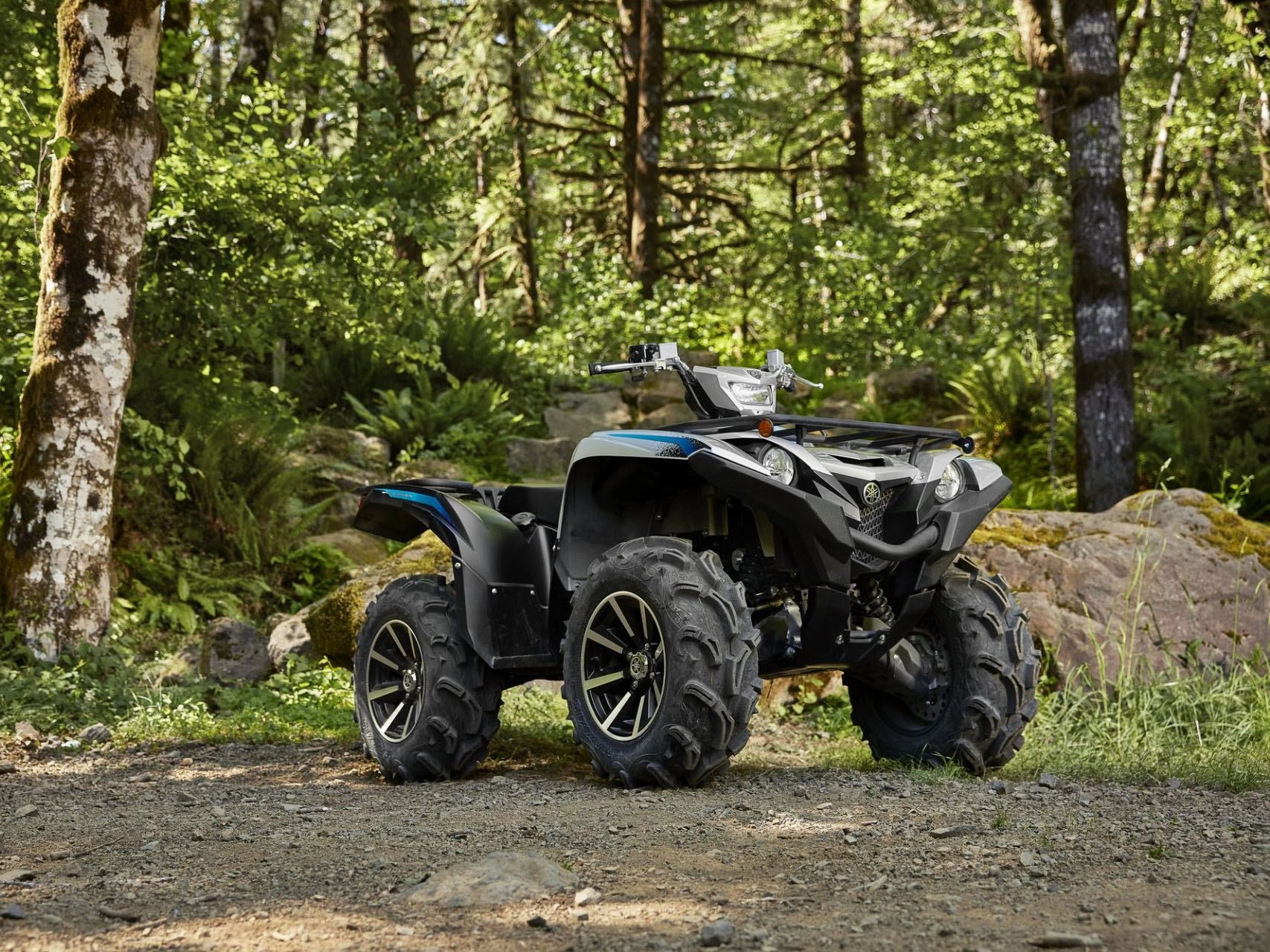 2024 Yamaha Grizzly EPS SE in Eugene, Oregon - Photo 11