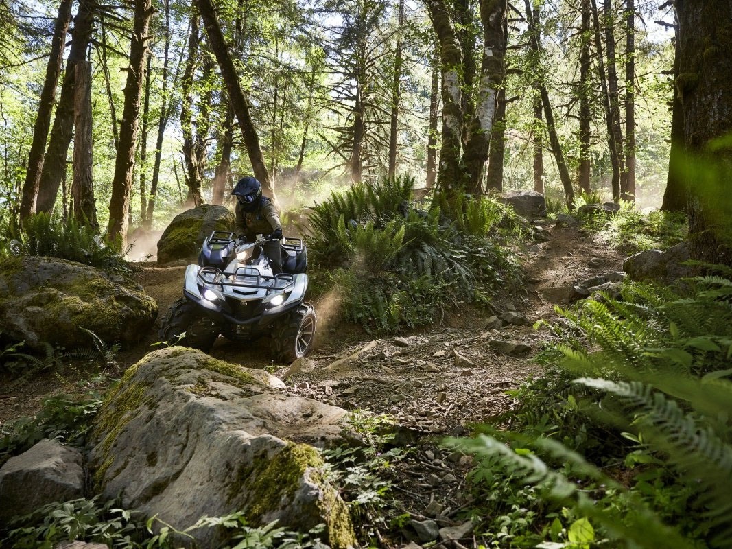 2024 Yamaha Grizzly EPS SE in Eugene, Oregon - Photo 17