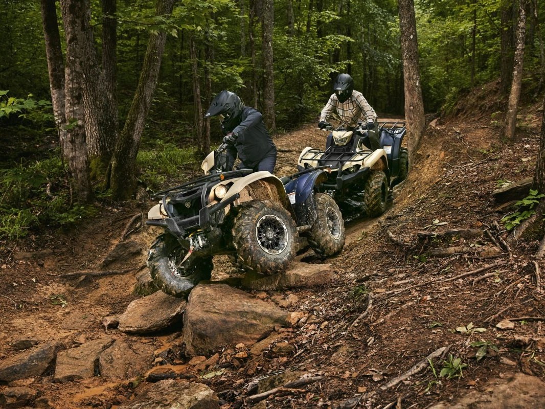2024 Yamaha Kodiak 700 EPS SE in Long Island City, New York - Photo 7