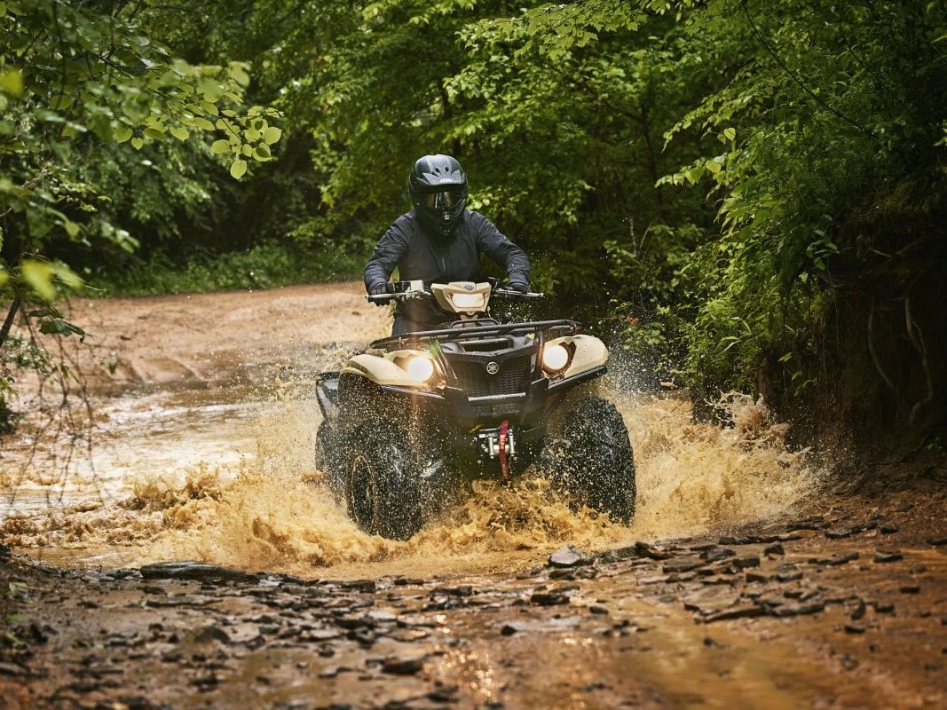 2024 Yamaha Kodiak 700 EPS SE in Long Island City, New York - Photo 10