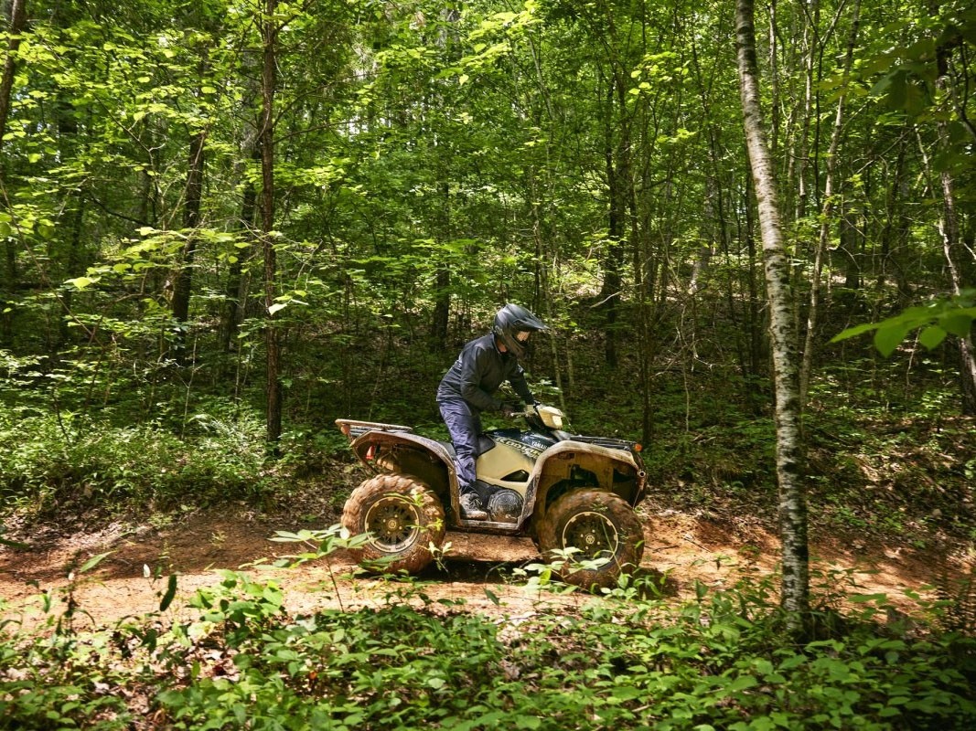2024 Yamaha Kodiak 700 EPS SE in Long Island City, New York - Photo 11