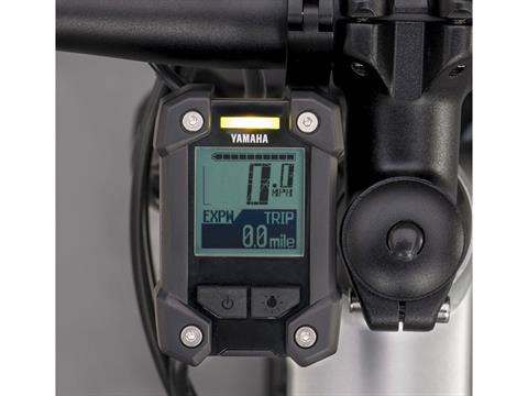 2024 Yamaha YDX-TORC - Medium in Saint Maries, Idaho - Photo 5
