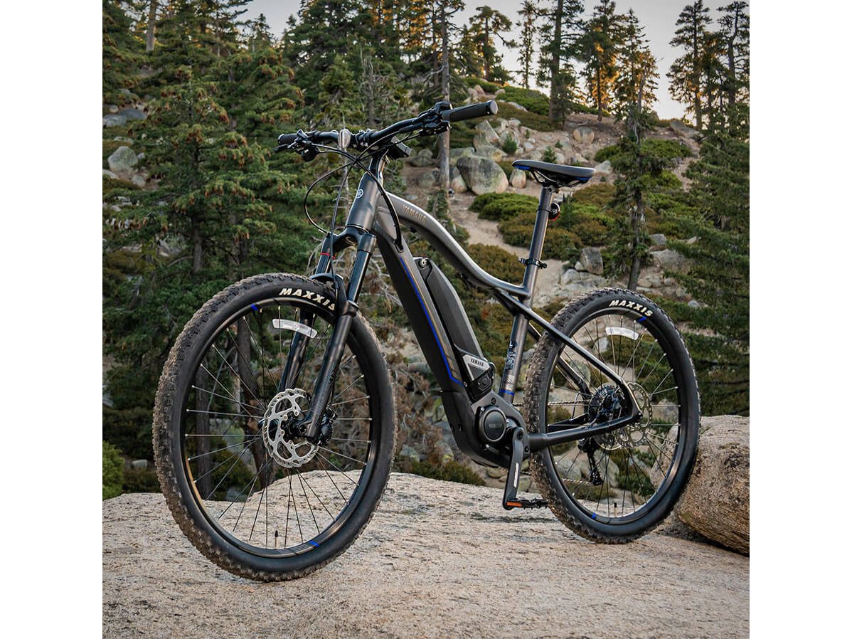 2024 Yamaha YDX-TORC - Small in Santa Maria, California - Photo 11