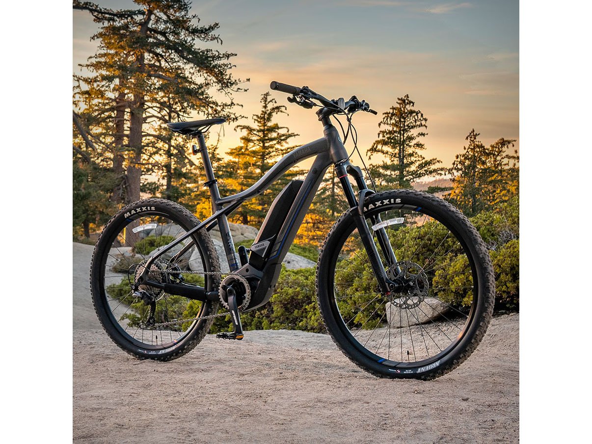 2024 Yamaha YDX-TORC - Small in Santa Maria, California - Photo 12
