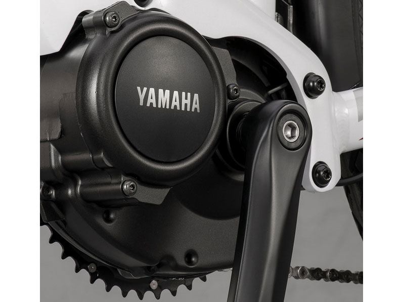 2024 Yamaha CrossConnect - Medium in Saint Maries, Idaho - Photo 3