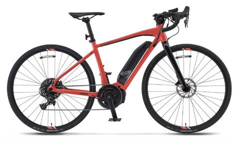 2024 Yamaha Wabash - Large