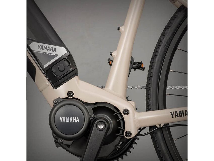 2024 Yamaha Wabash - Small in Northampton, Massachusetts - Photo 8