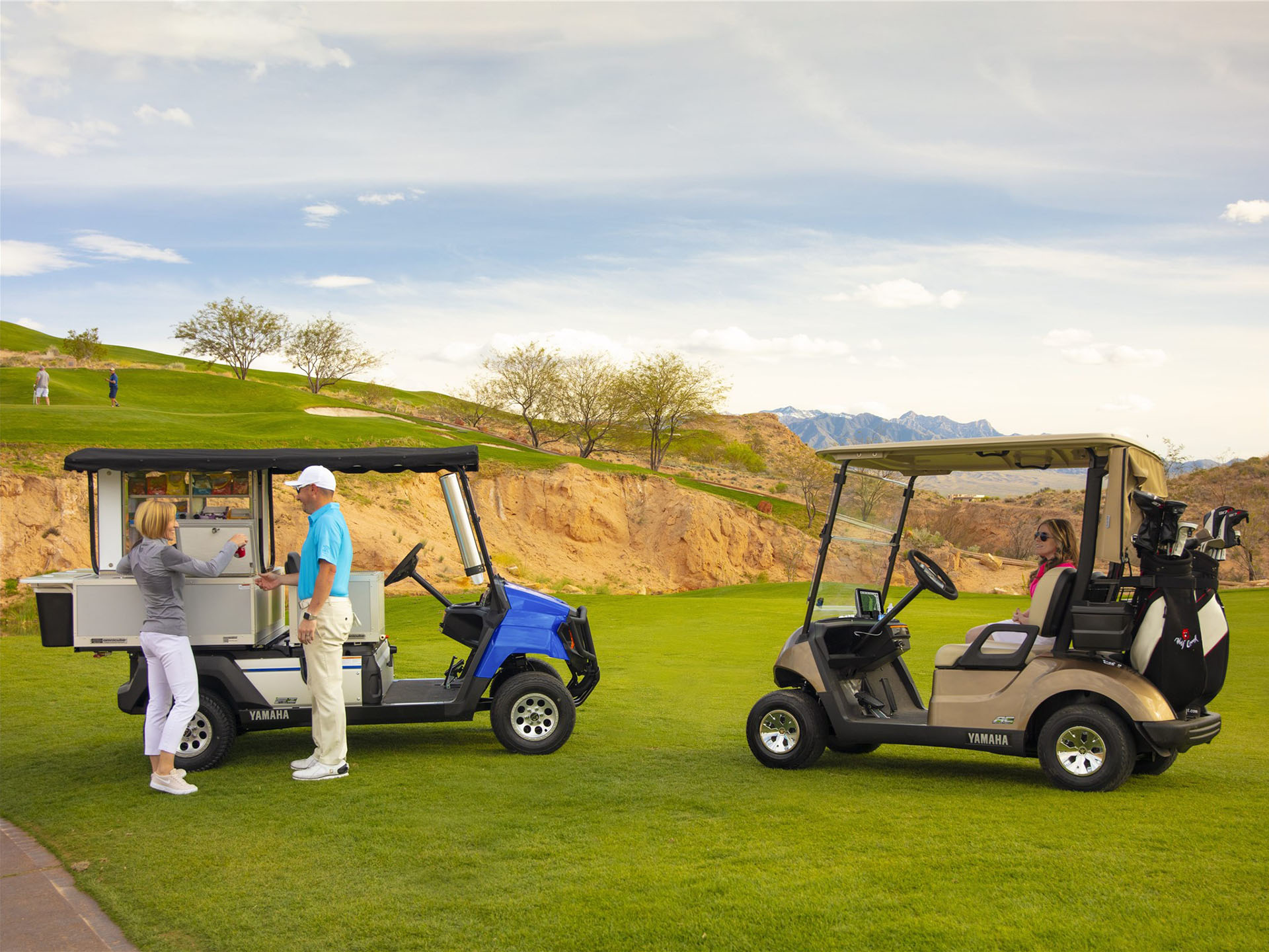 2024 Yamaha UMAX Bistro EFI in Saint Maries, Idaho - Photo 2