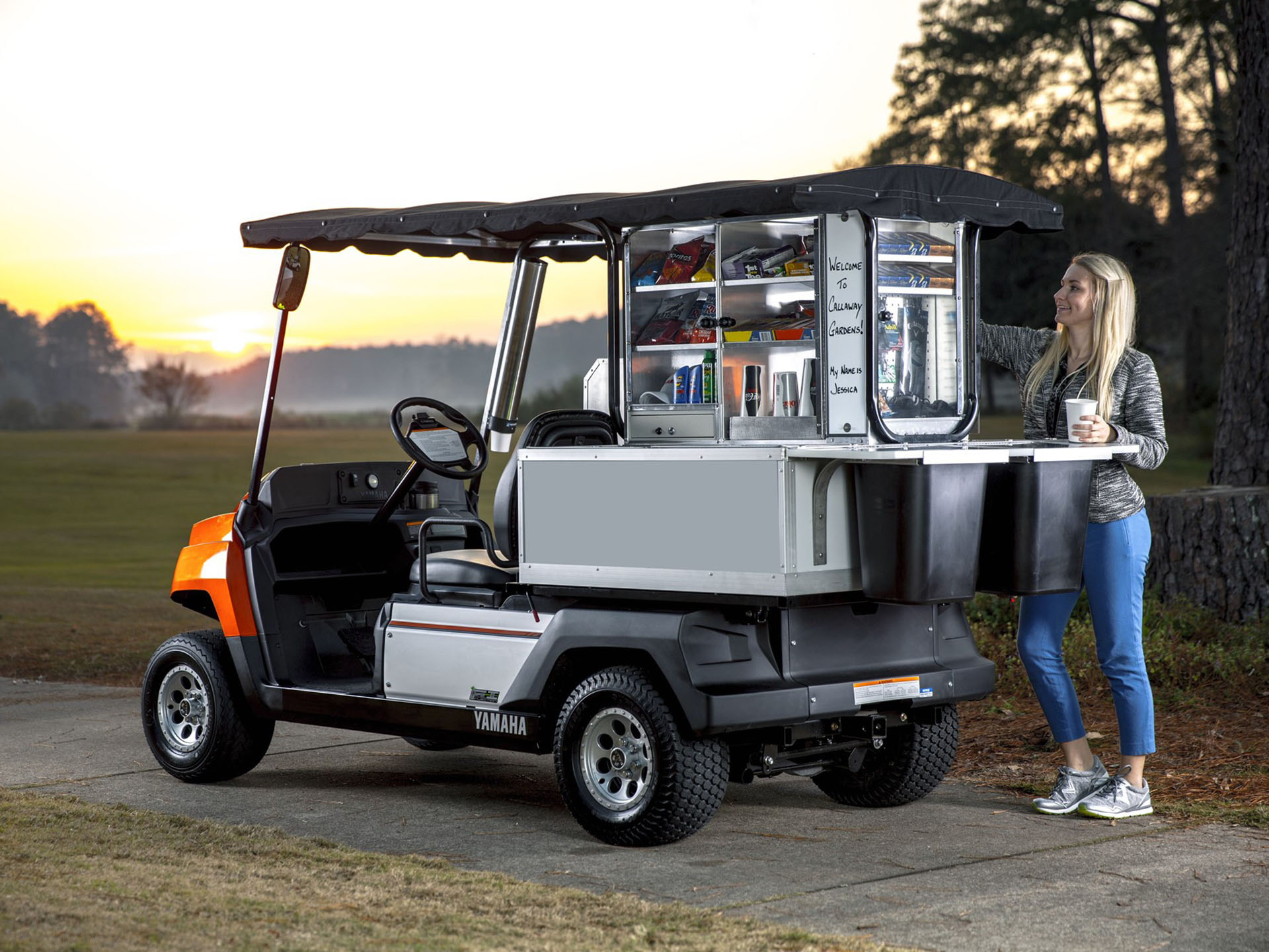 2024 Yamaha UMAX Bistro EFI in Saint Maries, Idaho - Photo 4
