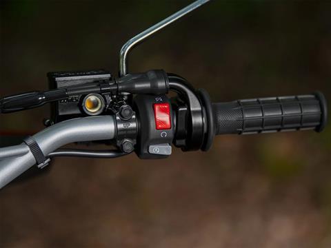 2024 Yamaha TW200 in Gorham, New Hampshire - Photo 49