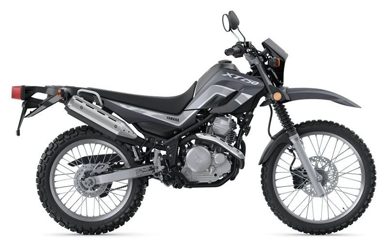 2024 Yamaha XT250 in Long Island City, New York - Photo 1
