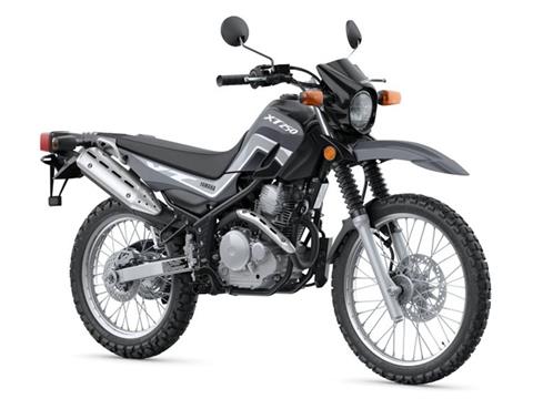 2024 Yamaha XT250 in Long Island City, New York - Photo 3