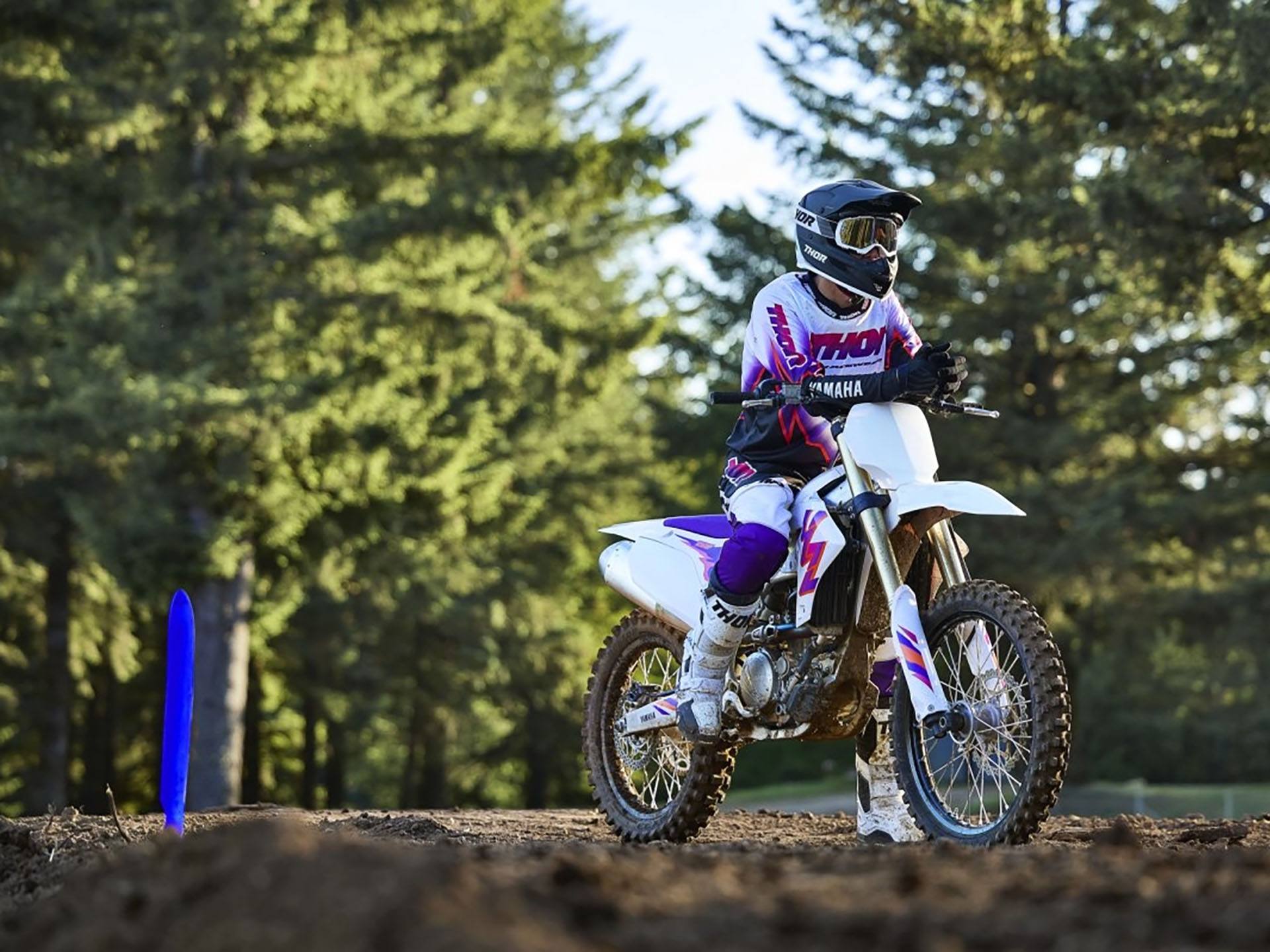 2024 Yamaha YZ250F 50th Anniversary Edition in Saint Maries, Idaho - Photo 14