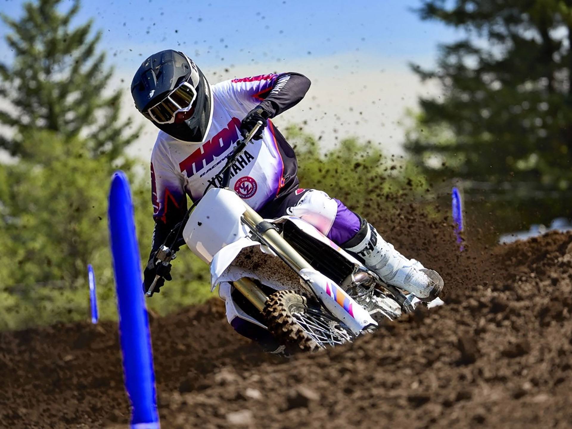 2024 Yamaha YZ250F 50th Anniversary Edition in Saint Maries, Idaho - Photo 17
