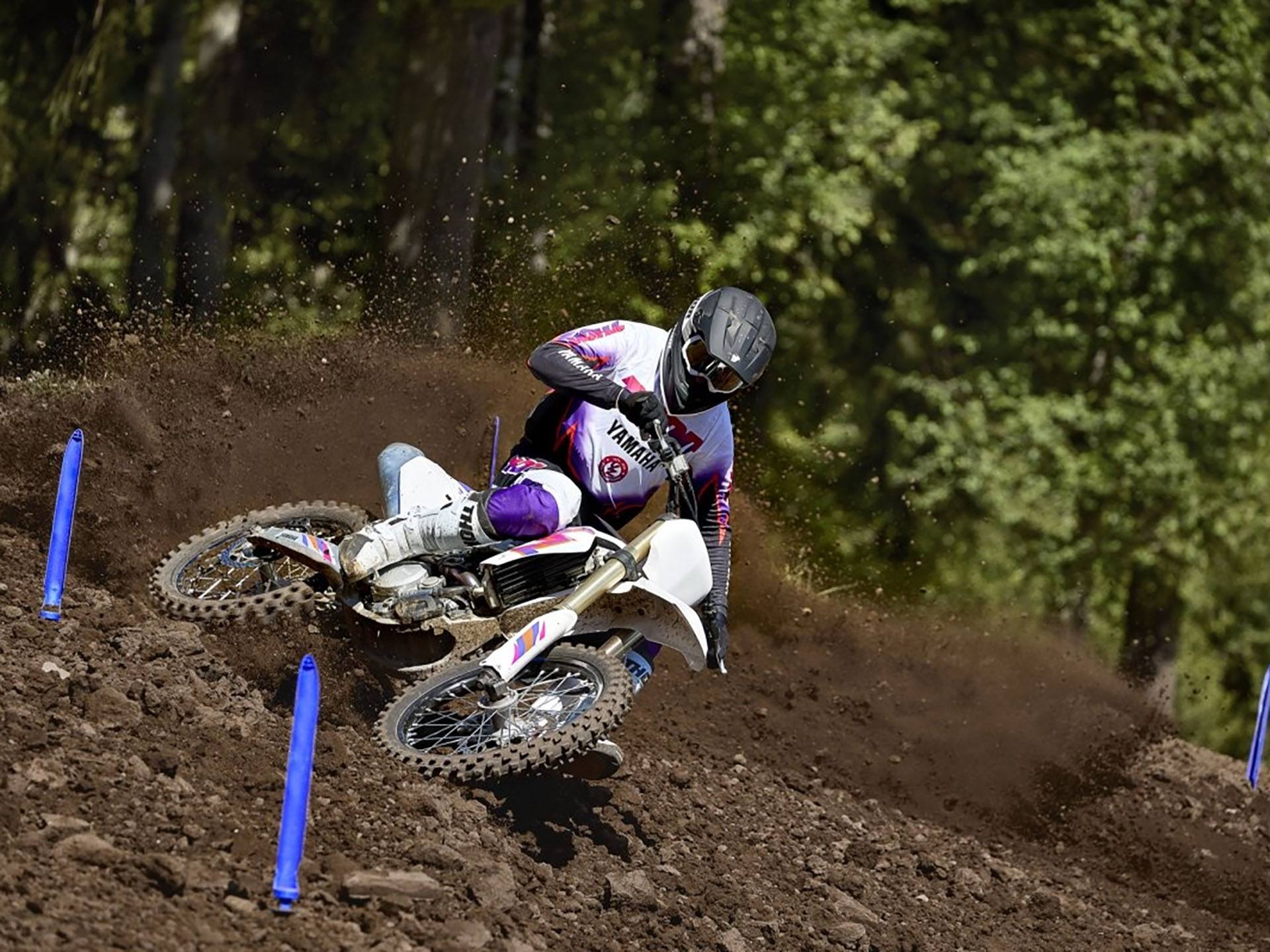 2024 Yamaha YZ250F 50th Anniversary Edition in Saint Maries, Idaho - Photo 18