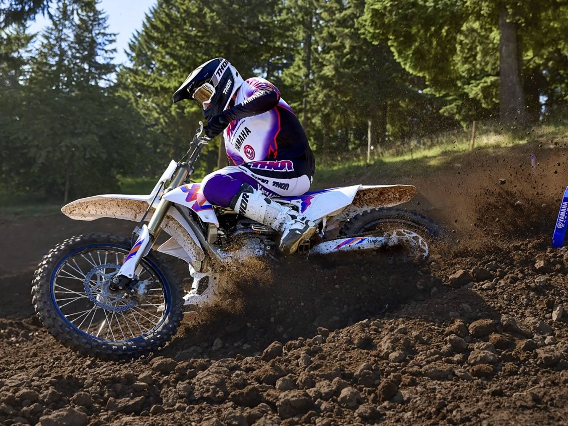 2024 Yamaha YZ250F 50th Anniversary Edition in Saint Maries, Idaho - Photo 19