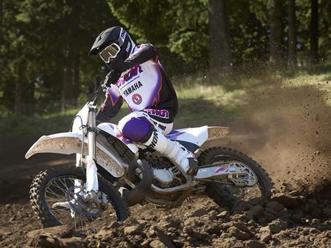 2024 Yamaha YZ250 50th Anniversary Edition in Eugene, Oregon - Photo 12