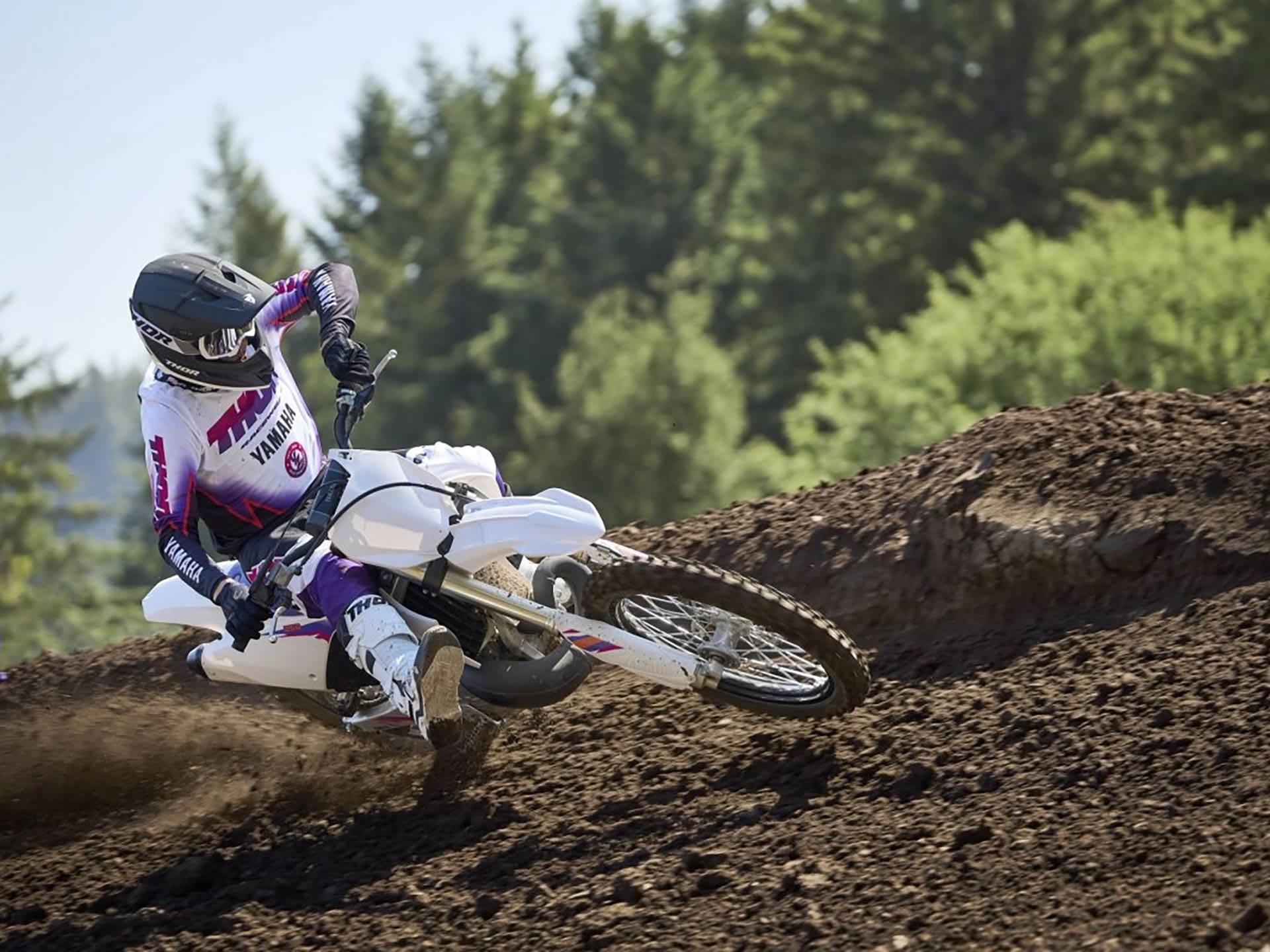 2024 Yamaha YZ250 50th Anniversary Edition in Eugene, Oregon - Photo 13