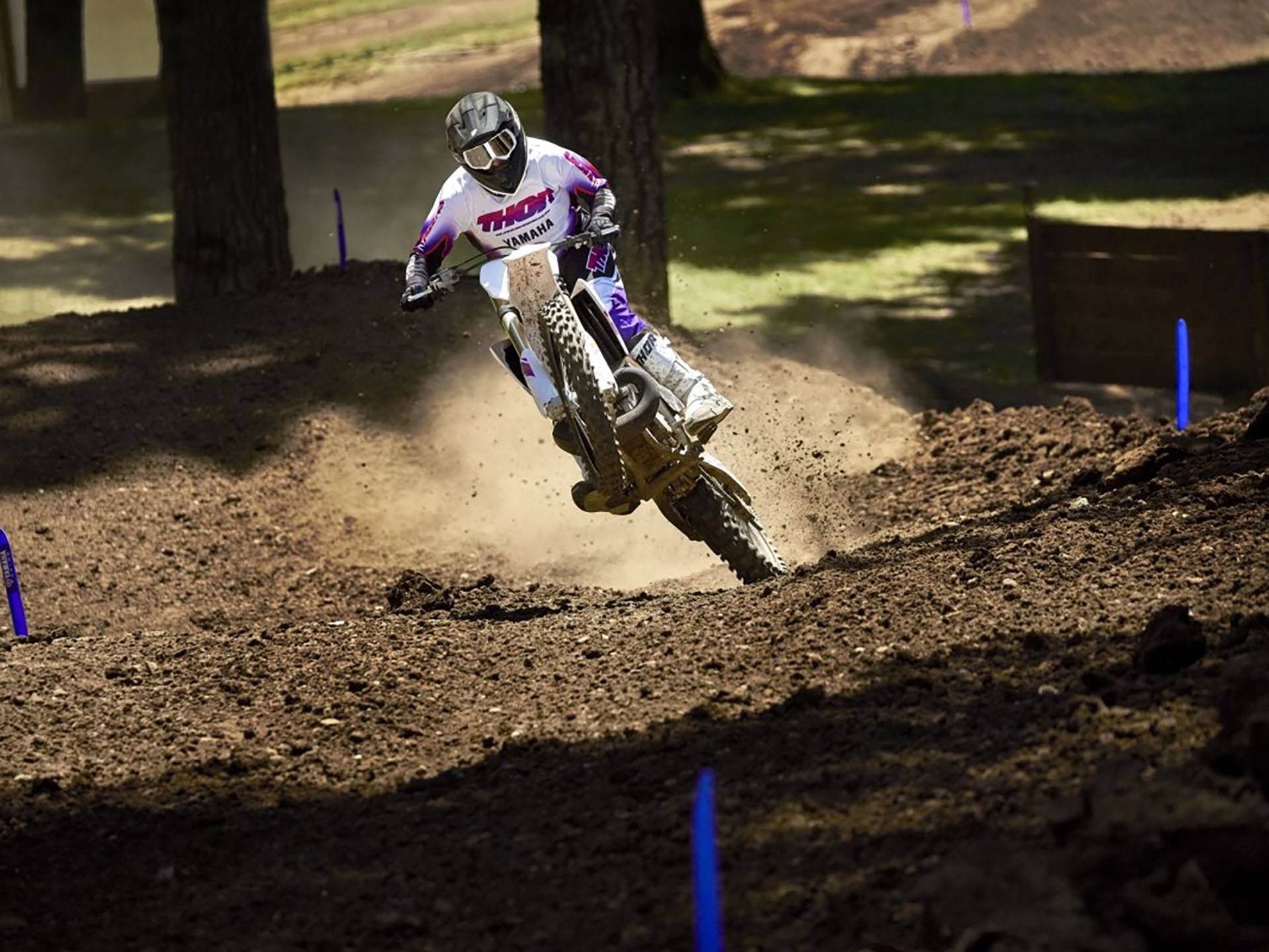 2024 Yamaha YZ250 50th Anniversary Edition in Eugene, Oregon - Photo 15