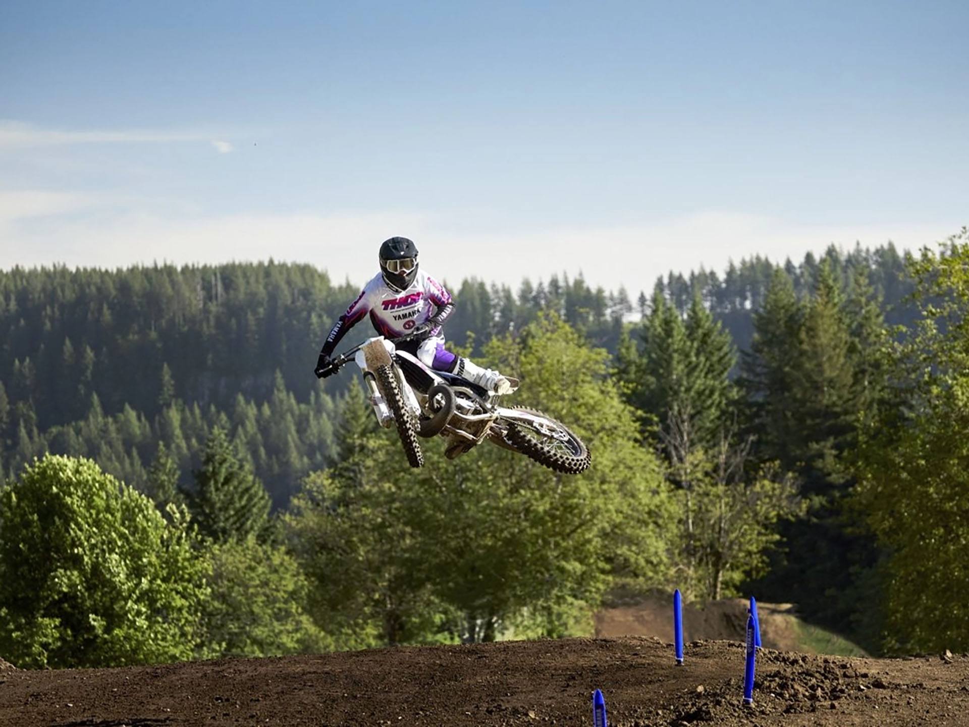 2024 Yamaha YZ250 50th Anniversary Edition in Eugene, Oregon - Photo 18