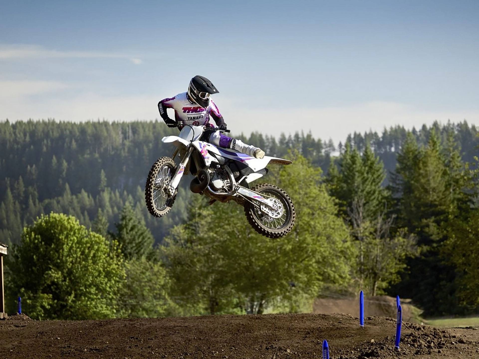 2024 Yamaha YZ250 50th Anniversary Edition in Eugene, Oregon - Photo 19