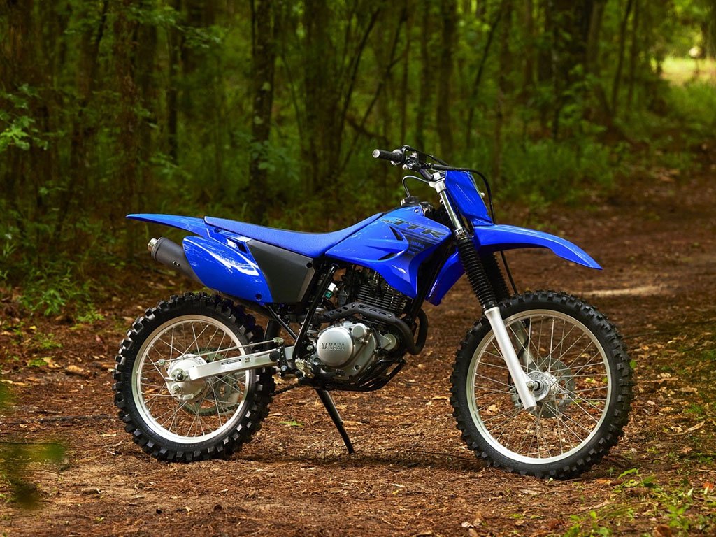 New 2024 Yamaha TT R230 Team Yamaha Blue Motorcycles in Johnson City TN