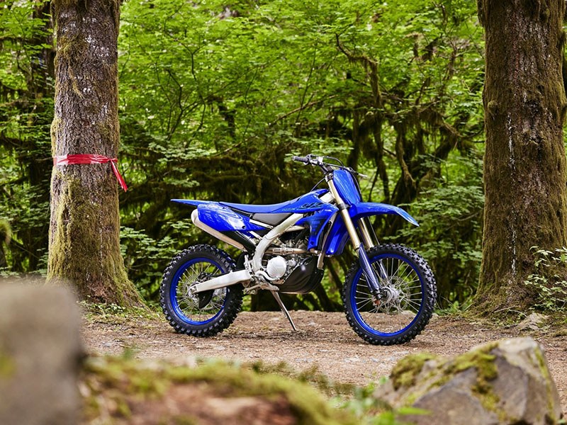 2024 Yamaha YZ250FX in Eugene, Oregon - Photo 11
