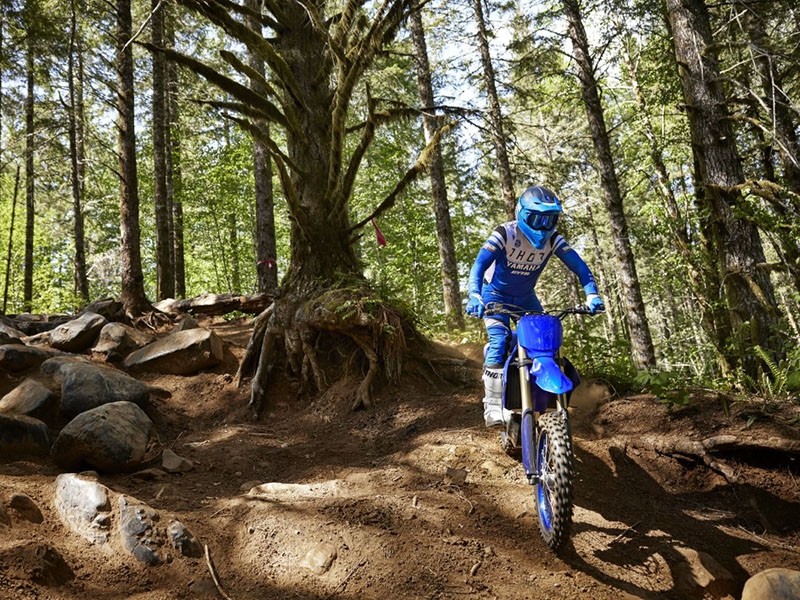 2024 Yamaha YZ450FX in Eugene, Oregon - Photo 12