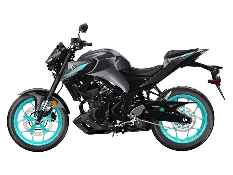 2024 Yamaha MT-03 in Santa Maria, California - Photo 2