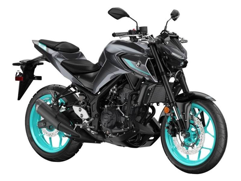 2024 Yamaha MT-03 in Santa Maria, California - Photo 3