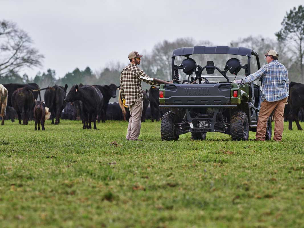 2024 Yamaha Viking EPS in Pine Bluff, Arkansas - Photo 10