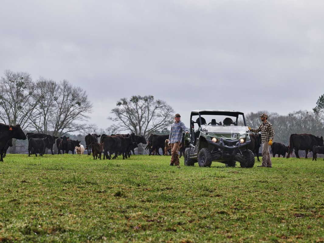 2024 Yamaha Viking EPS in Pine Bluff, Arkansas - Photo 12