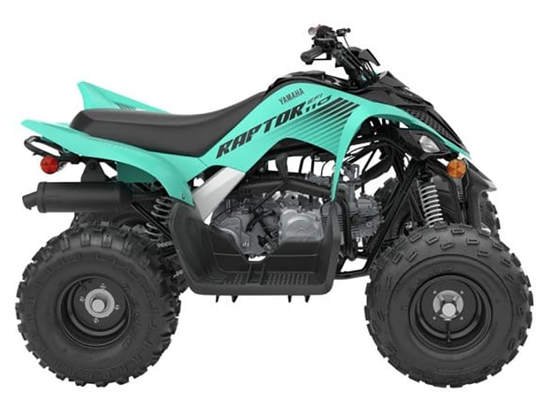 2025 Yamaha Raptor 110 in Long Island City, New York - Photo 1