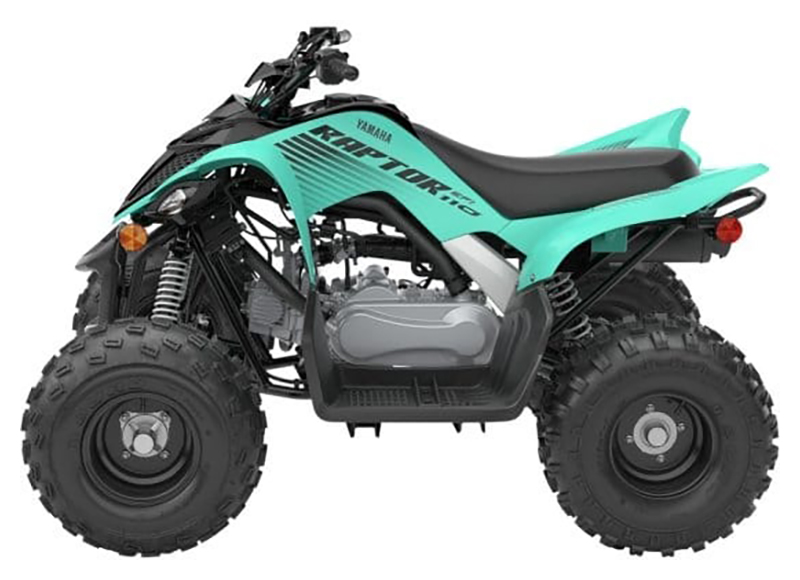 2025 Yamaha Raptor 110 in Long Island City, New York - Photo 2