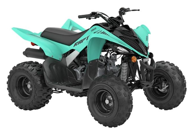 2025 Yamaha Raptor 110 in Long Island City, New York - Photo 3