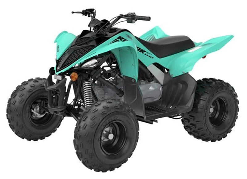 2025 Yamaha Raptor 110 in Long Island City, New York - Photo 4