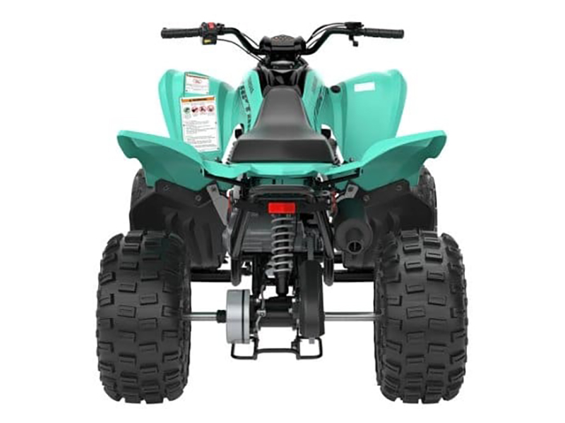 2025 Yamaha Raptor 110 in Long Island City, New York - Photo 6