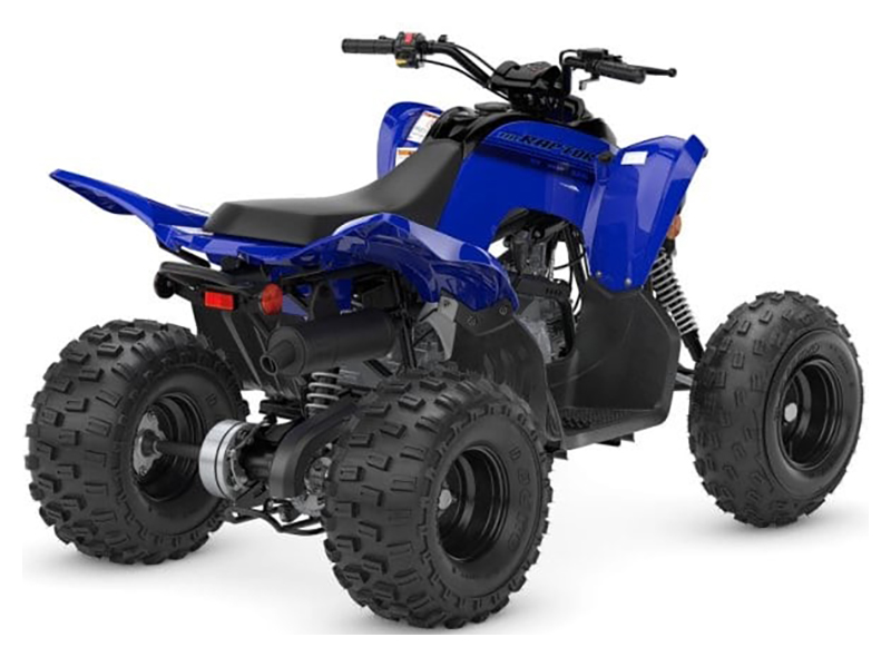 2025 Yamaha Raptor 110 in Saint Maries, Idaho - Photo 6