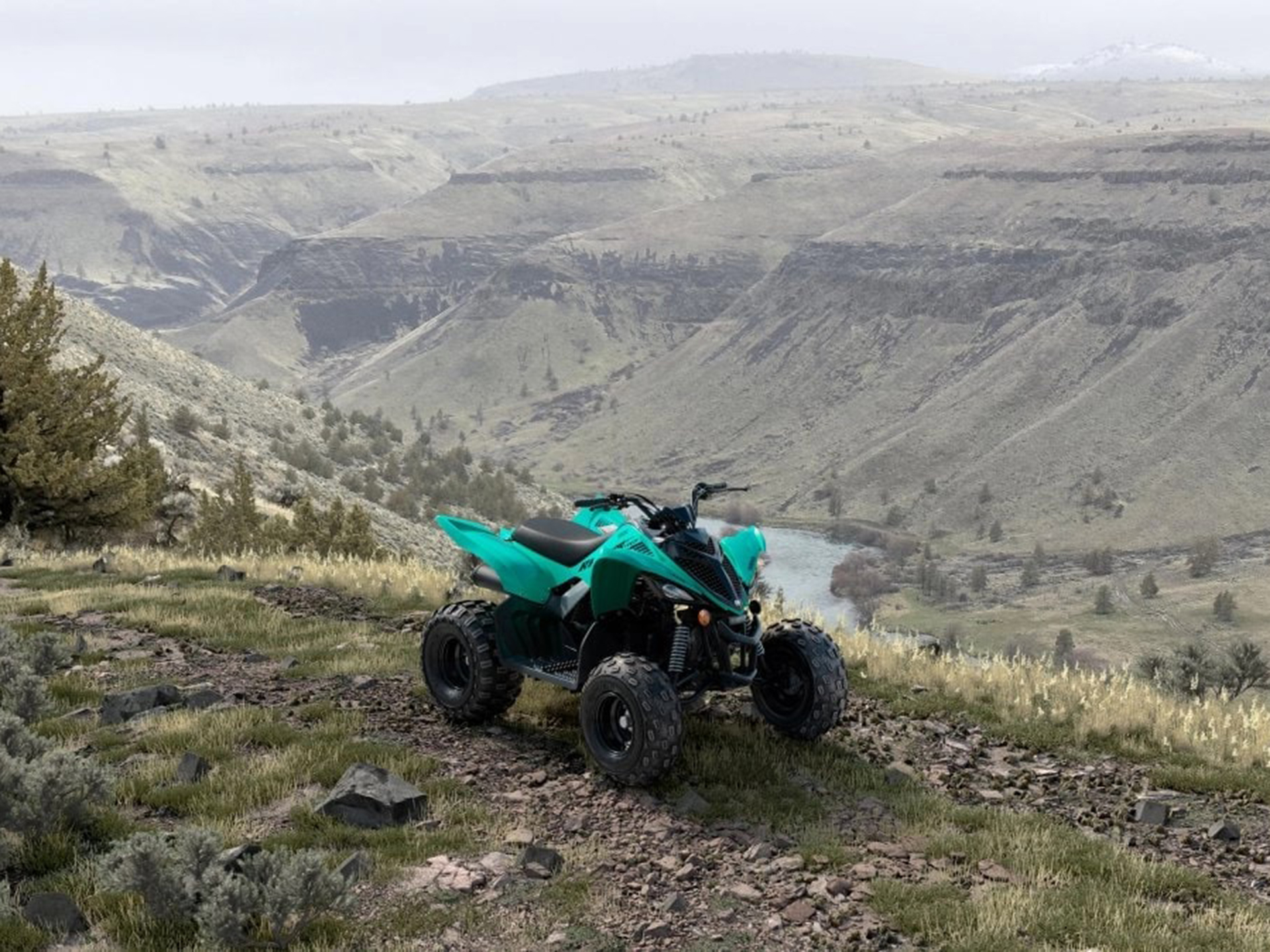 2025 Yamaha Raptor 110 in Saint Maries, Idaho - Photo 9