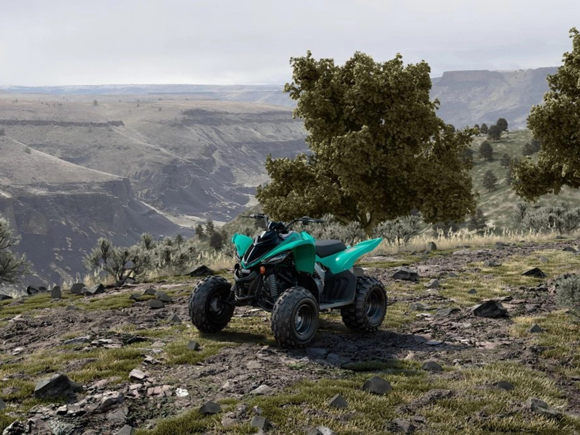 2025 Yamaha Raptor 110 in Saint Maries, Idaho - Photo 10