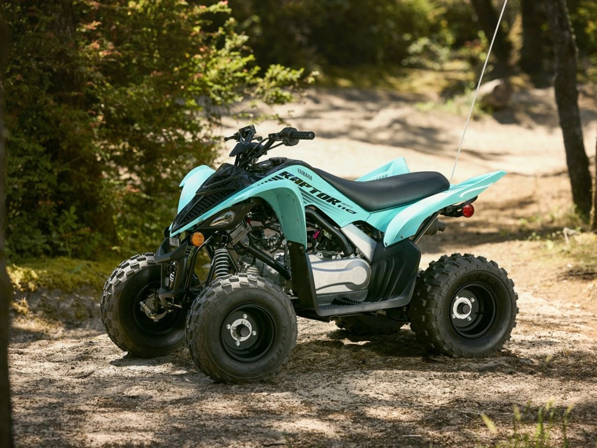 2025 Yamaha Raptor 110 in Saint Maries, Idaho - Photo 11