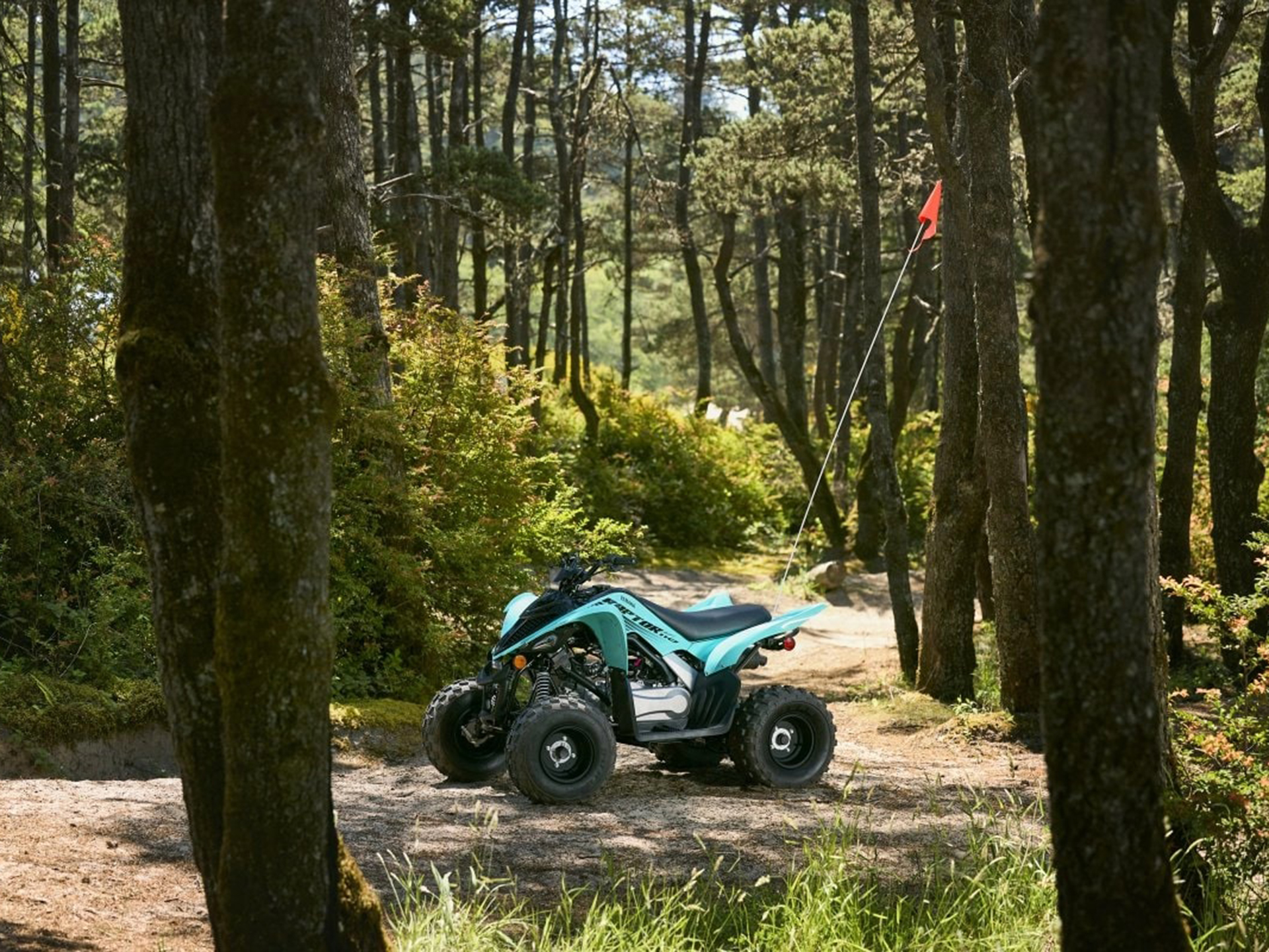 2025 Yamaha Raptor 110 in Saint Maries, Idaho - Photo 13