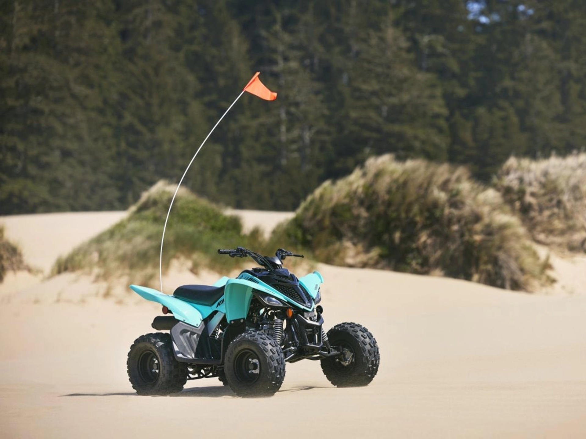 2025 Yamaha Raptor 110 in Saint Maries, Idaho - Photo 14