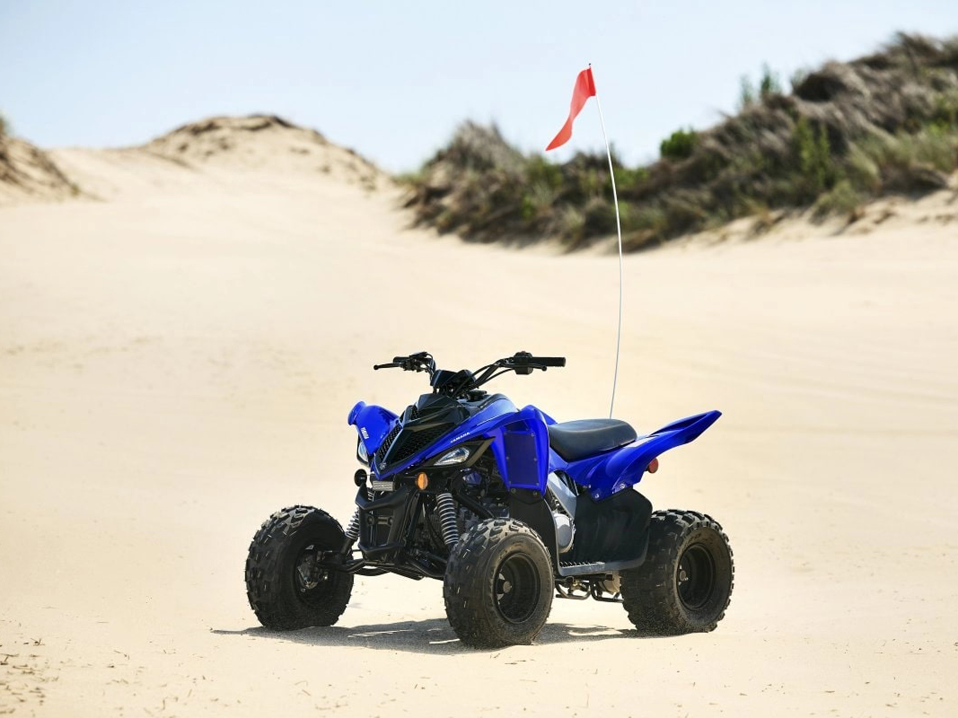 2025 Yamaha Raptor 110 in Saint Maries, Idaho - Photo 15