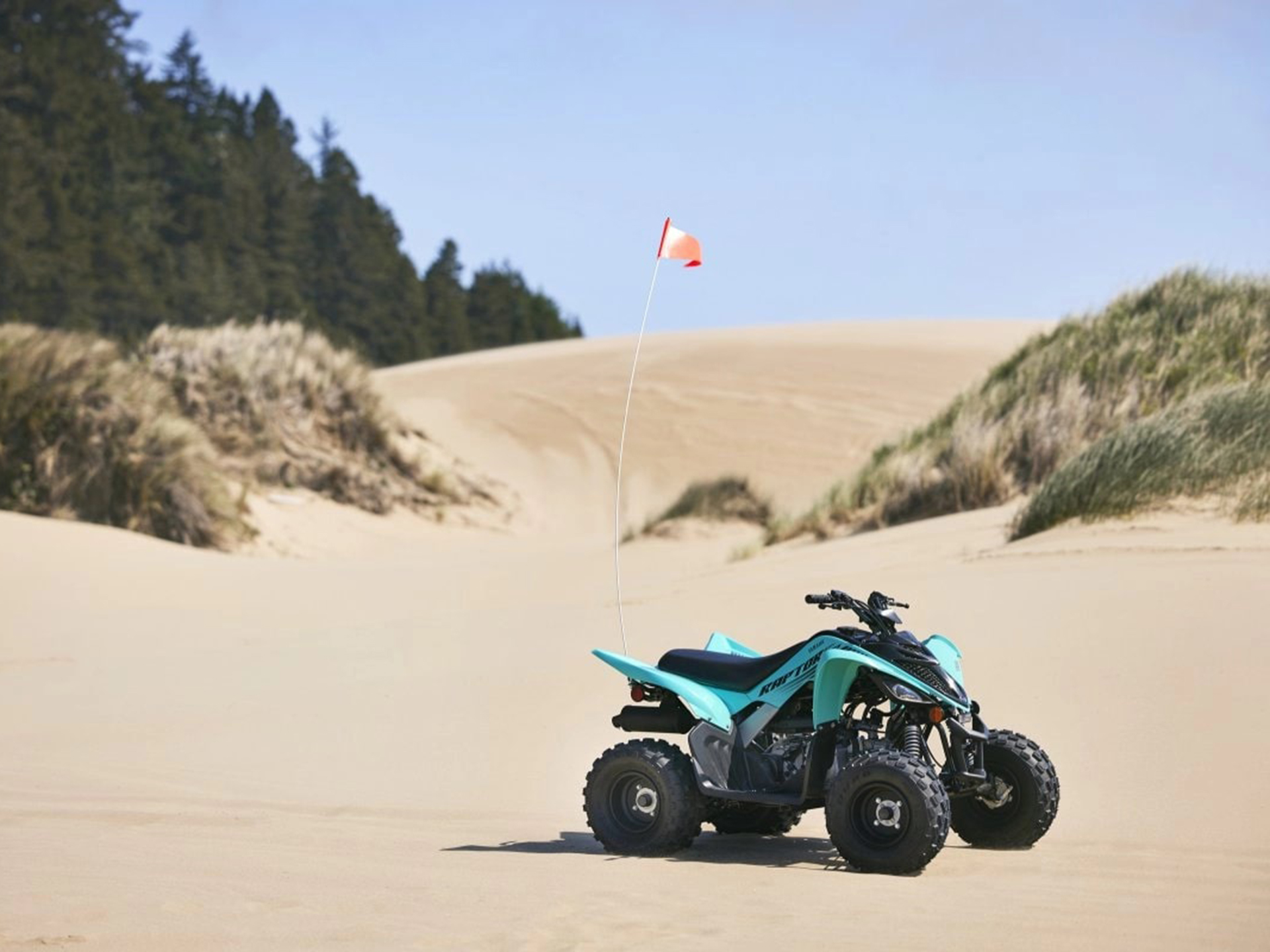 2025 Yamaha Raptor 110 in Saint Maries, Idaho - Photo 16