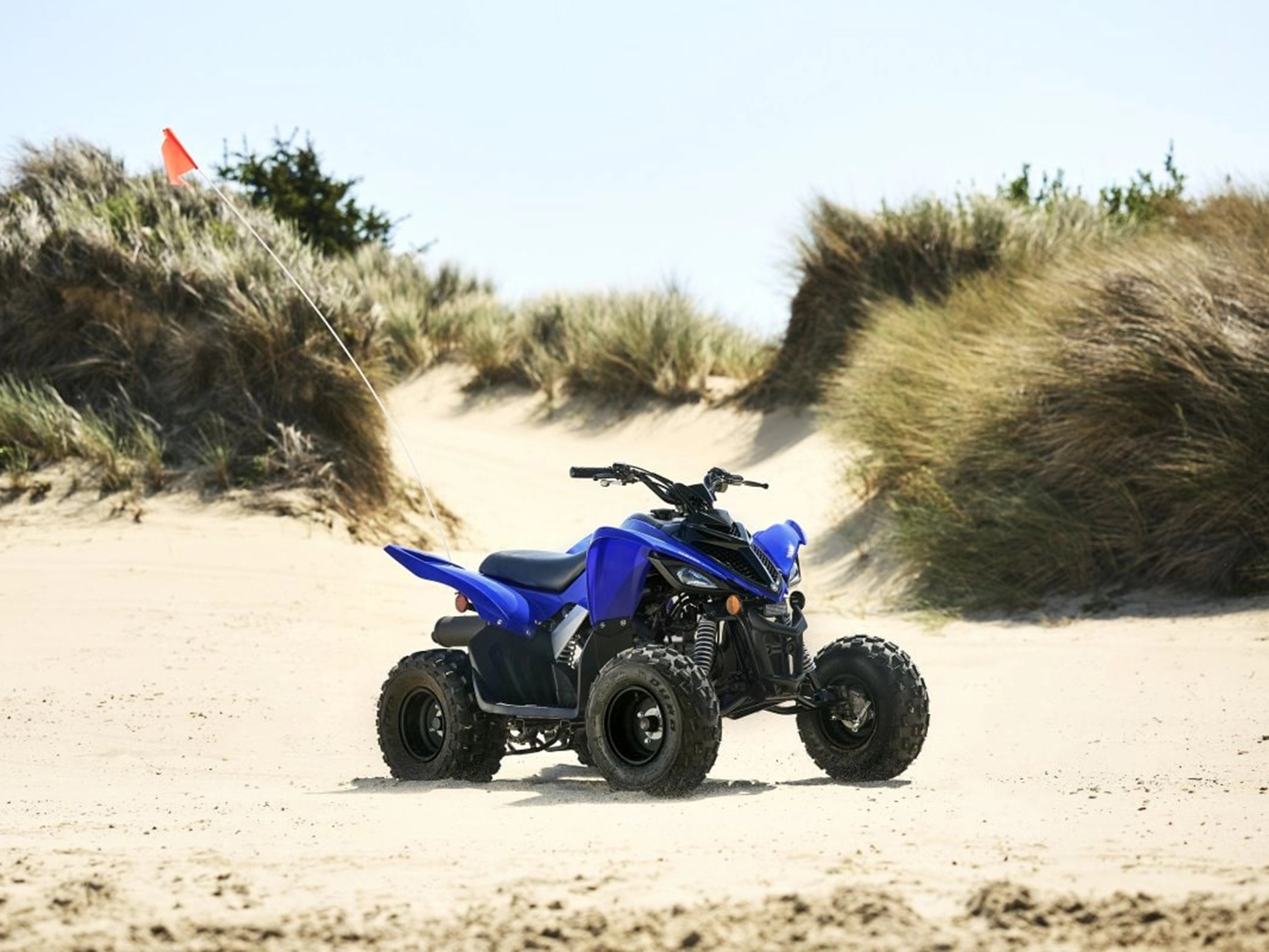 2025 Yamaha Raptor 110 in Saint Maries, Idaho - Photo 17
