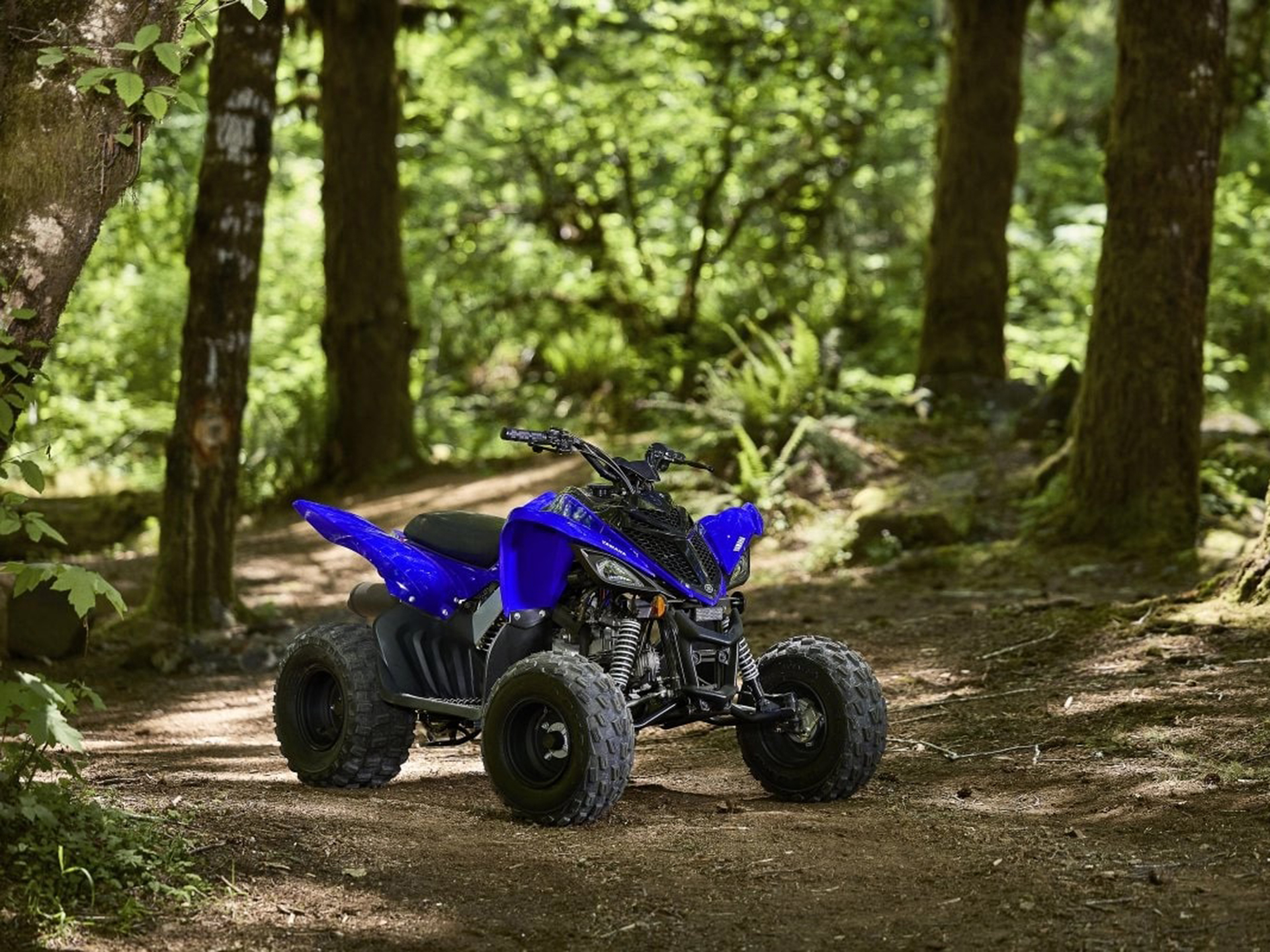 2025 Yamaha Raptor 110 in Saint Maries, Idaho - Photo 18