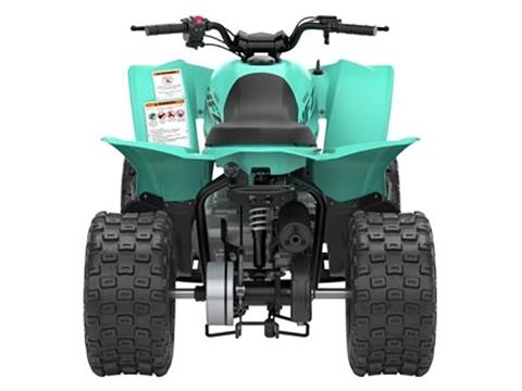 2025 Yamaha YFZ50 in Port Washington, Wisconsin - Photo 6